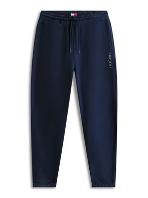 Obrázek produktu Teplákové kalhoty Tommy Jeans