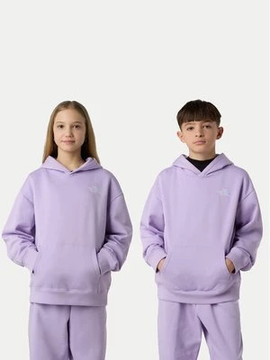 Obrázek produktu The North Face Mikina Essential NF0A89HA Fialová Relaxed Fit