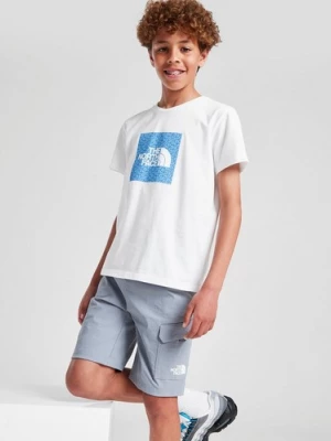 Obrázek produktu The North Face Šortky Trishull Short Tw.grey B