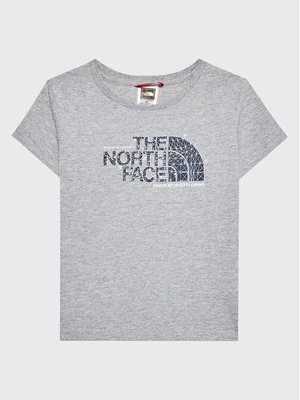Obrázek produktu The North Face T-Shirt Graphic NF0A7X5B Šedá Regular Fit