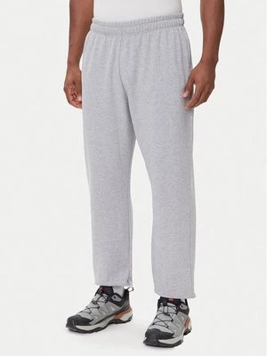 Obrázek produktu The North Face Teplákové kalhoty Expedition Celebration NF0A8E3E Šedá Relaxed Fit