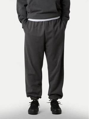 Obrázek produktu The North Face Teplákové kalhoty Expedition Celebration NF0A8E3E Šedá Relaxed Fit