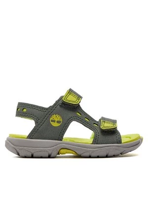 Obrázek produktu Timberland Sandály Moss Jump 2 Strap Sandal TB0A68RHL951 Khaki