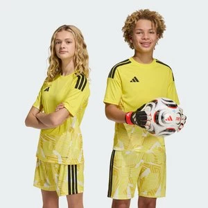 Obrázek produktu TIRO26 COMPETITION GOALKEEPER JERSEY SHORT SLEEVE Adidas