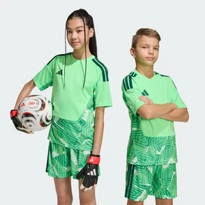 Obrázek produktu TIRO26 COMPETITION GOALKEEPER JERSEY SHORT SLEEVE Adidas