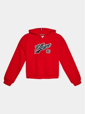 Obrázek produktu Tommy Hilfiger Mikina Hilfiger Script Hoodie KG0KG07721 Červená Regular Fit