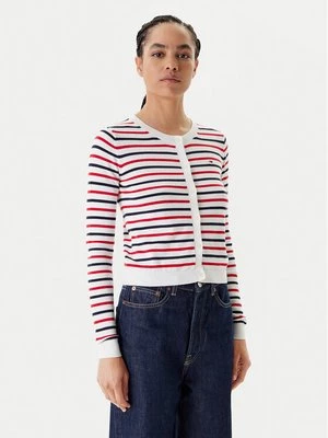 Obrázek produktu Tommy Jeans Kardigan Essential DW0DW20976 Barevná Regular Fit