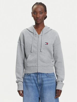 Obrázek produktu Tommy Jeans Mikina DW0DW21147 Šedá Boxy Fit