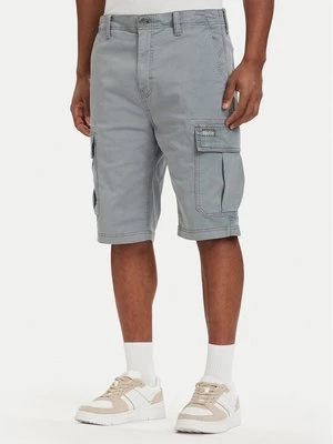 Obrázek produktu Tommy Jeans Šortky z materiálu Otis DM0DM22831 Šedá Regular Fit
