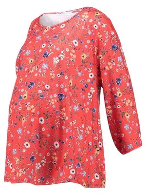 Obrázek produktu Top s dlouhým rukávem Bluebelle Maternity