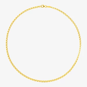 Obrázek produktu Tous - Zlatý Obojkový Náhrdelník O Délce 42 Cm Z Kolekce Tous Chain -