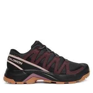 Obrázek produktu Trekingová obuv Salomon X-Adventure Recon Gtx L49096600 Hnědá