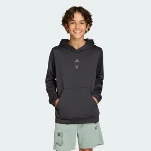 Obrázek produktu Tréninková mikina adidas Minecraft