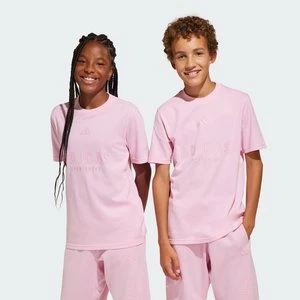 Obrázek produktu Tričko ALL SZN Graphic Kids Adidas