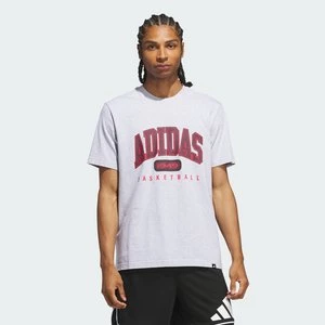 Obrázek produktu Tričko Collegiate Graphic Adidas Light Grey Heather
