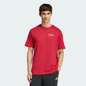 Obrázek produktu TRIČKO NOVELTY BOWL GRAPHIC Adidas Active Maroon