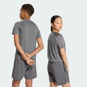 Obrázek produktu TRIČKO TECH APPAREL CLIMACOOL Adidas