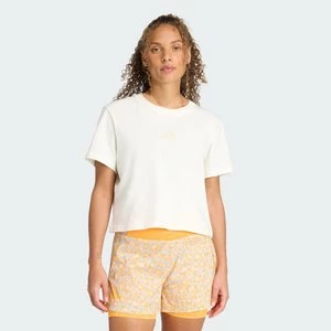 Obrázek produktu Tričko Terrex Multi Meadow Pack Adidas