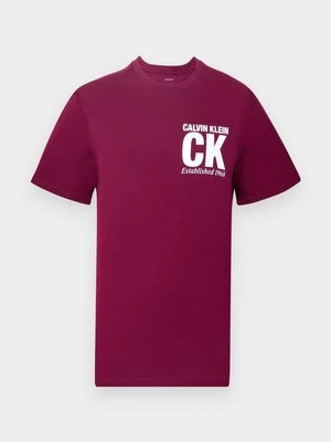 Obrázek produktu Triko s potiskem Calvin Klein