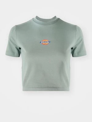 Obrázek produktu Triko s potiskem Dickies