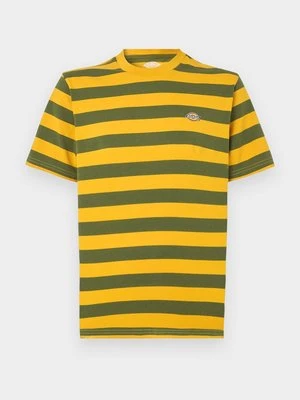 Obrázek produktu Triko s potiskem Dickies