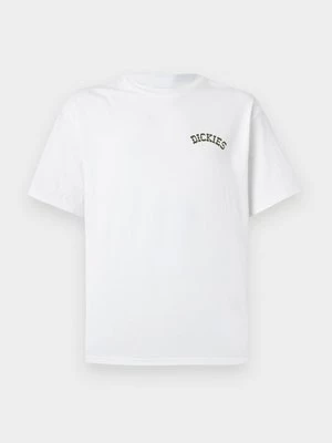 Obrázek produktu Triko s potiskem Dickies