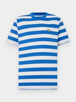 Obrázek produktu Triko s potiskem Dickies