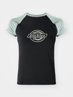 Obrázek produktu Triko s potiskem Dickies