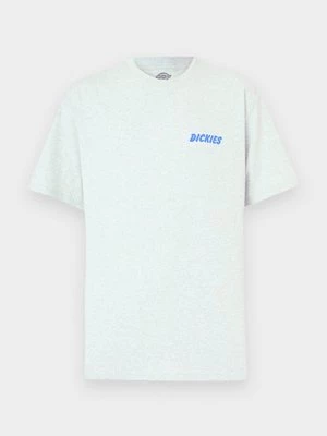 Obrázek produktu Triko s potiskem Dickies