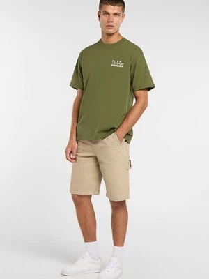 Obrázek produktu Triko s potiskem Dickies