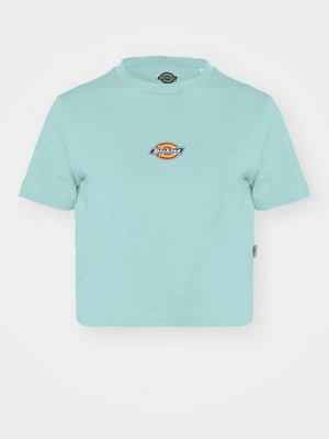 Obrázek produktu Triko s potiskem Dickies