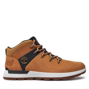 Obrázek produktu Turistická obuv Timberland TB0A6DQDEJS1 Žlutá