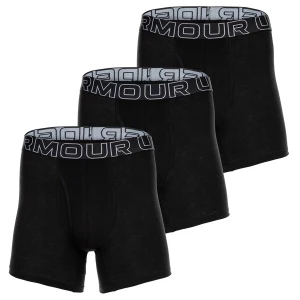 Obrázek produktu UNDER ARMOUR Sportovní spodní prádlo  šedá / černá