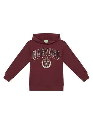 Obrázek produktu United Colors Of Benetton Mikina 32N4C204U Bordó Regular Fit