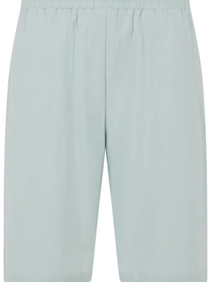 Obrázek produktu Urban Classics Kalhoty  mátová