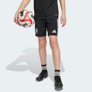 Obrázek produktu Venkovní šortky Aston Villa FC 25/26 Adidas