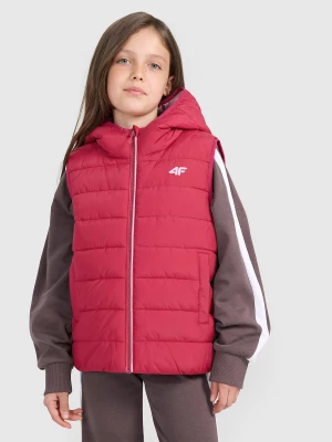 Obrázek produktu VESTA 4F