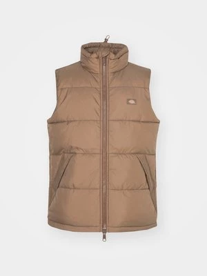 Obrázek produktu Vesta Dickies