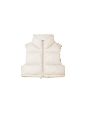 Obrázek produktu Vesta Stradivarius
