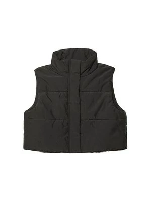 Obrázek produktu Vesta Stradivarius