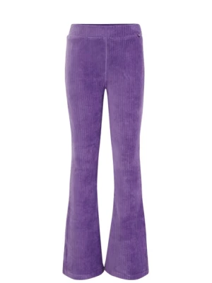 Obrázek produktu WE Fashion Legíny  fialová