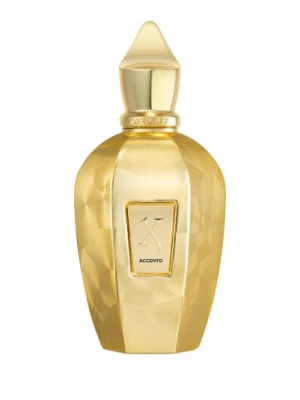 Obrázek produktu Xerjoff Accento Overdose Eau de Parfum 100 ml