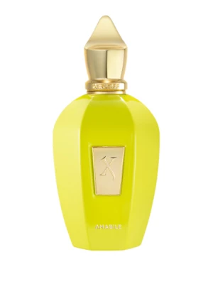 Obrázek produktu Xerjoff Amabile Eau de Parfum 100 ml
