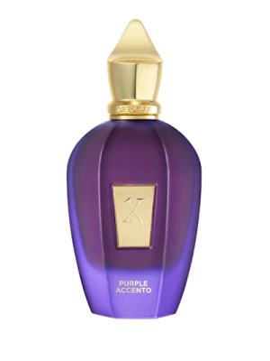 Obrázek produktu Xerjoff Vibe Purple Accento Eau de Parfum 100 ml