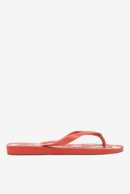 Obrázek produktu Žabky Havaianas