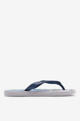 Obrázek produktu Žabky Havaianas