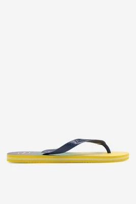 Obrázek produktu Žabky Havaianas