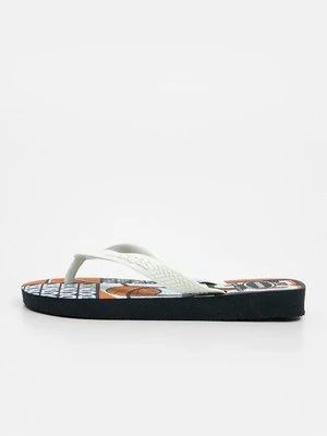 Obrázek produktu Žabky Havaianas