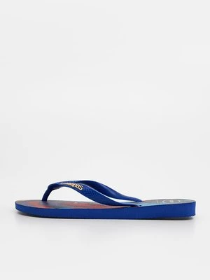 Obrázek produktu Žabky Havaianas modrá