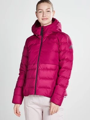 Obrázek produktu Zimní bunda adidas performance